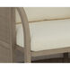 Palermo Drift Brown / Stinson Cream Outdoor Lounge Chair